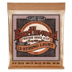סט מיתרים לאקוסטית Ernie Ball 12-String Earthwood Phosphor Bronze