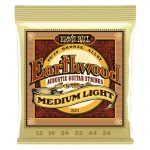 סט מיתרים לאקוסטית Ernie Ball Earthwood 80/20 12-54
