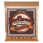 סט מיתרים לאקוסטית Ernie Ball Earthwood Phosphor Bronze 13-56