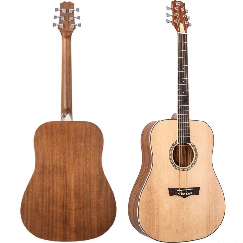 גיטרה אקוסטית Peavey DW-2