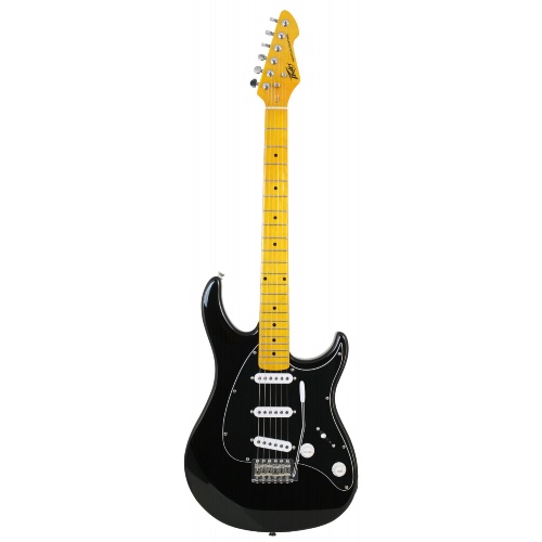 גיטרה חשמלית Peavey Raptor Custom Black
