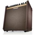 מגבר לגיטרה אקוסטית Fishman Loudbox Performer