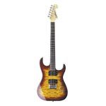 Washburn X-12