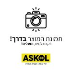 ממלא מקום