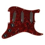 EMG VG20 Vince Gill