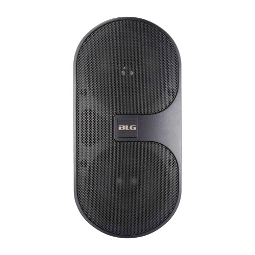 זוג רמקולים פאסיביים 4″ BLG Audio WSP-4L (3)