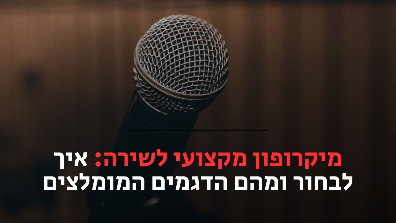 מיקרופון מקצועי לשירה