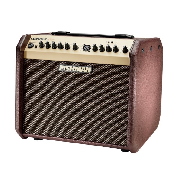 מגבר לגיטרה אקוסטית Fishman Loudbox Mini + BT (3)