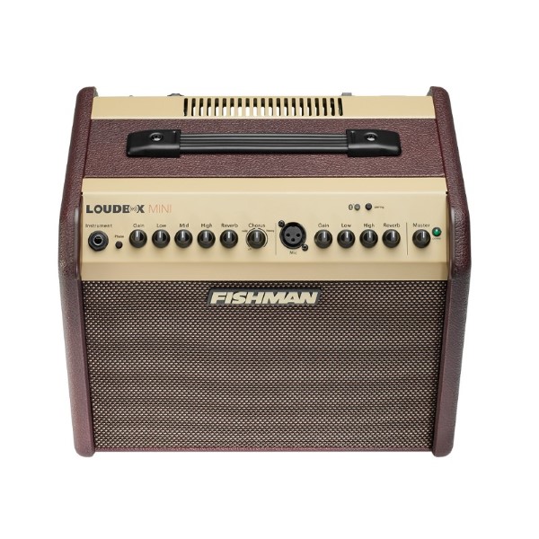 מגבר לגיטרה אקוסטית Fishman Loudbox Mini + BT (5)